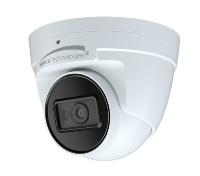 Video Surveillance